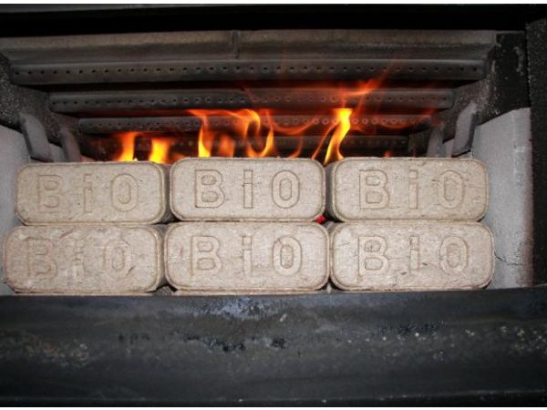 BioBricks